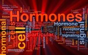 hormones