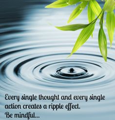 Fresh bamboo leaves over water