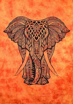 orangeelephant
