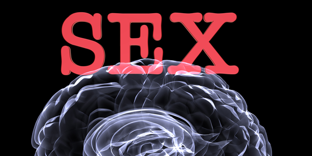 sexbrain