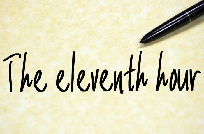 The 11th Hour
